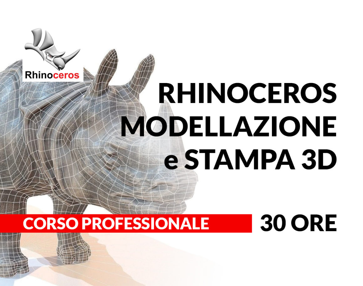 Rhinoceros per la Stampa 3D